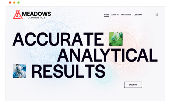 Meadows Lab website by Saintcode